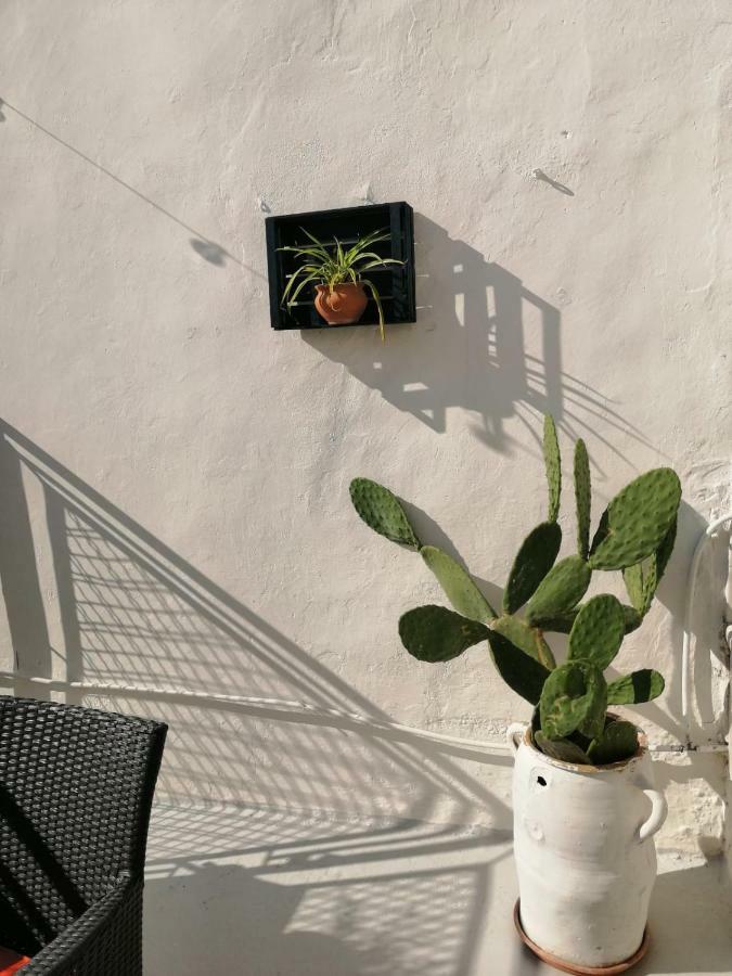 Vila Casa Dei Nonni Capurso Exteriér fotografie